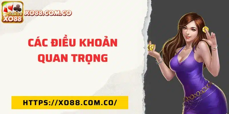 Nội dung quan trọng trong điều khoản XO88