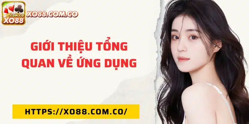 Giới thiệu tổng quan về ứng dụng