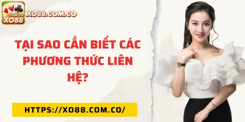 Tại sao người chơi cần biết các phương thức liên hệ?